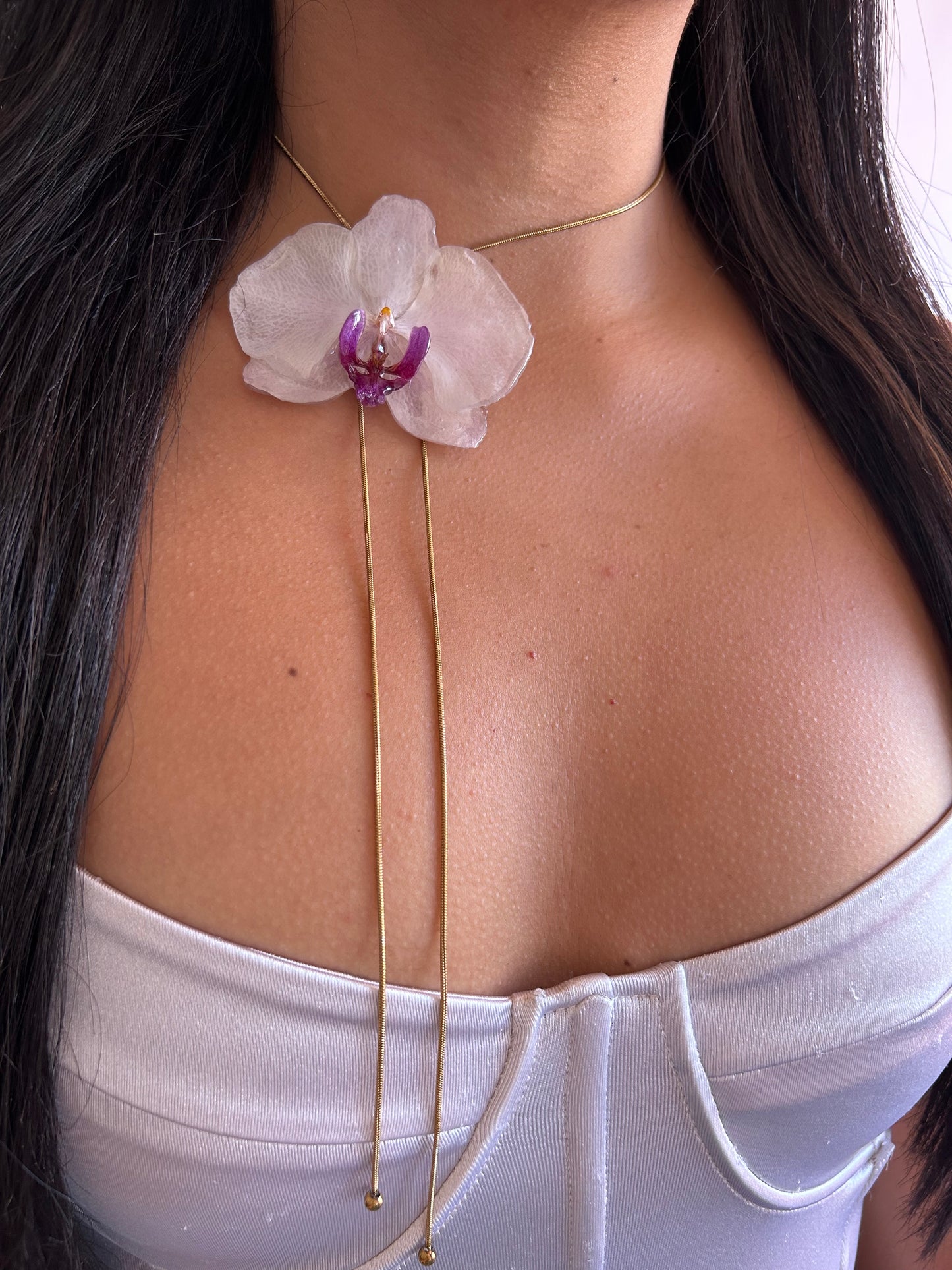 Gran Phalaenopsis white