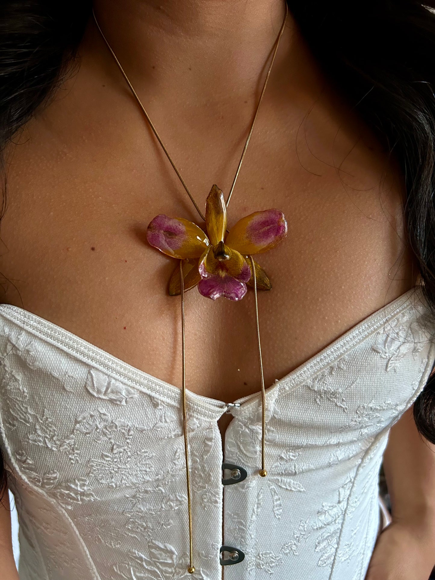 Cattleya