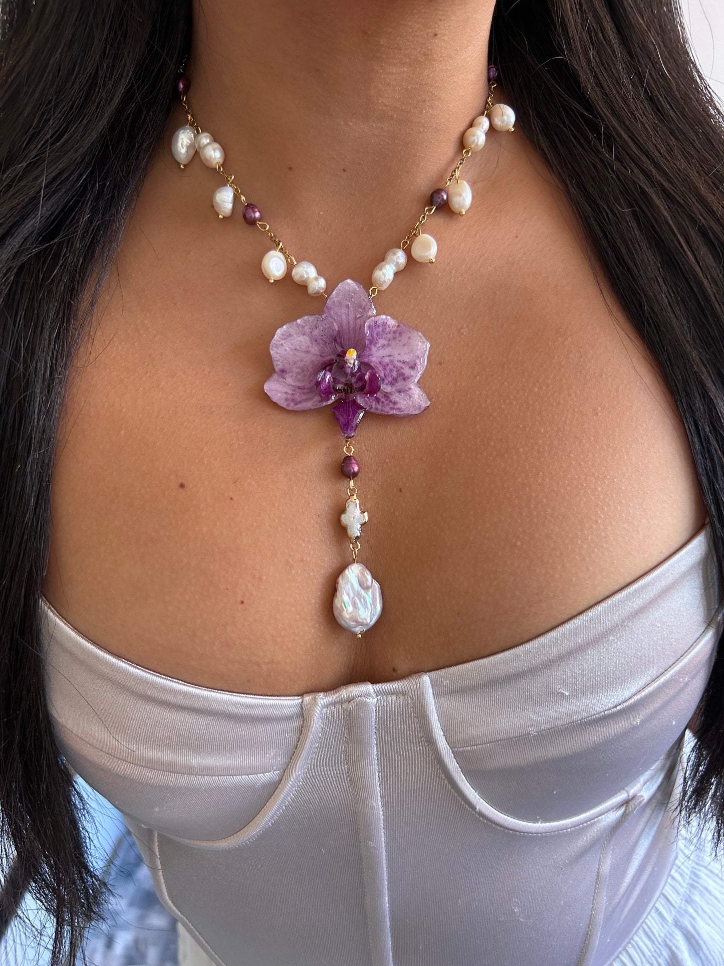 Sweet Phalaenopsis orchid