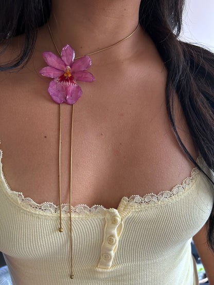 Nelly isler pink