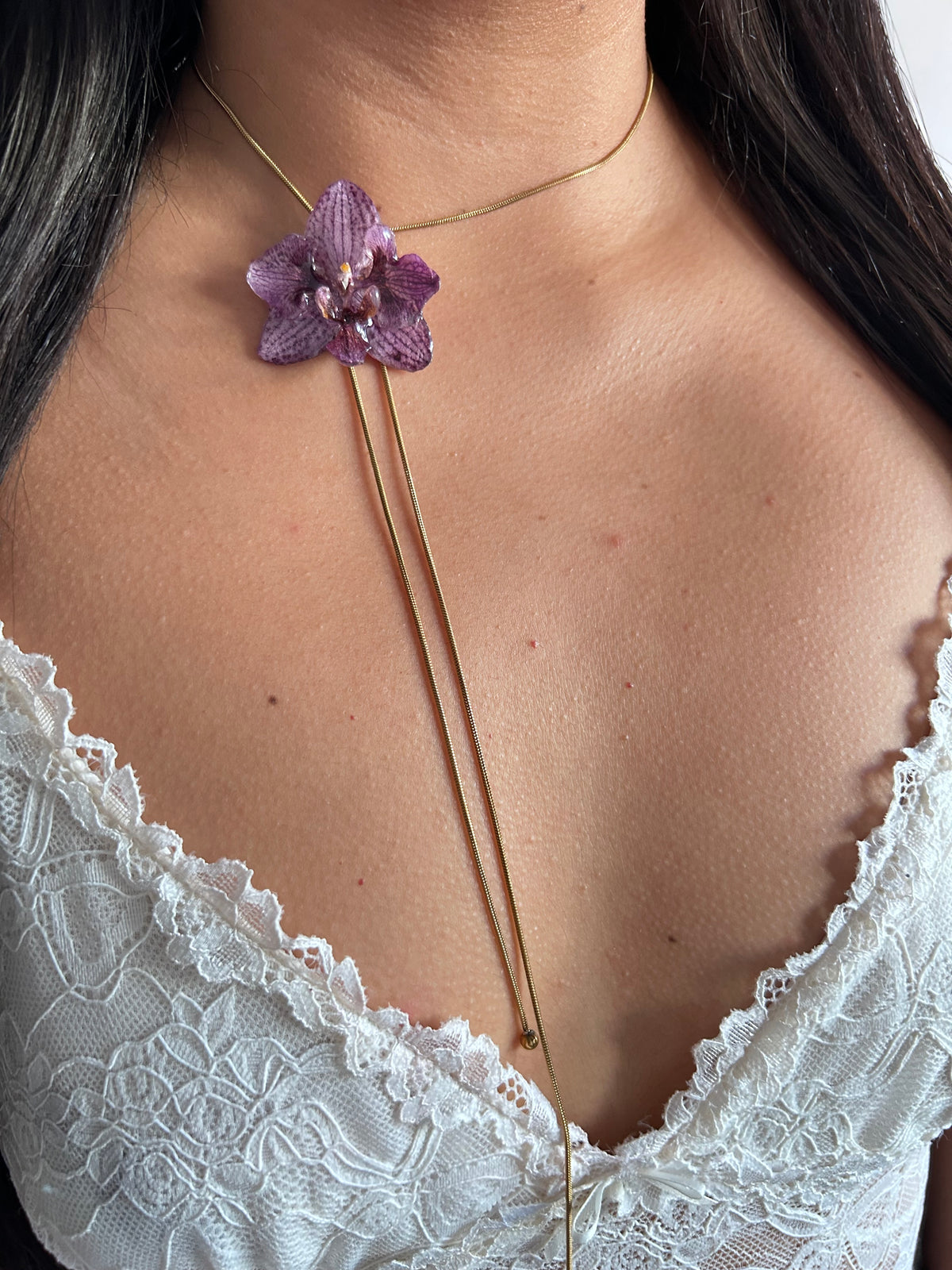 Phalaenopsis híbrida