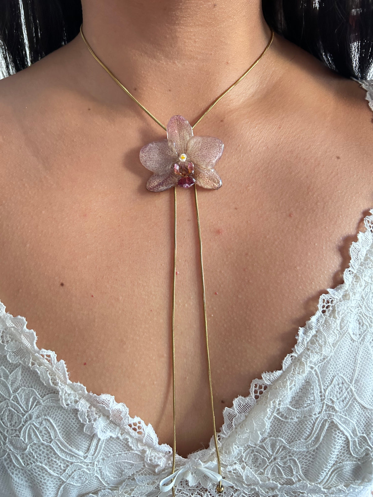 Phalaenopsis picosa