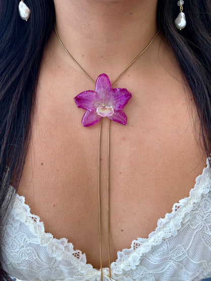 Orchid dendrobium nobile