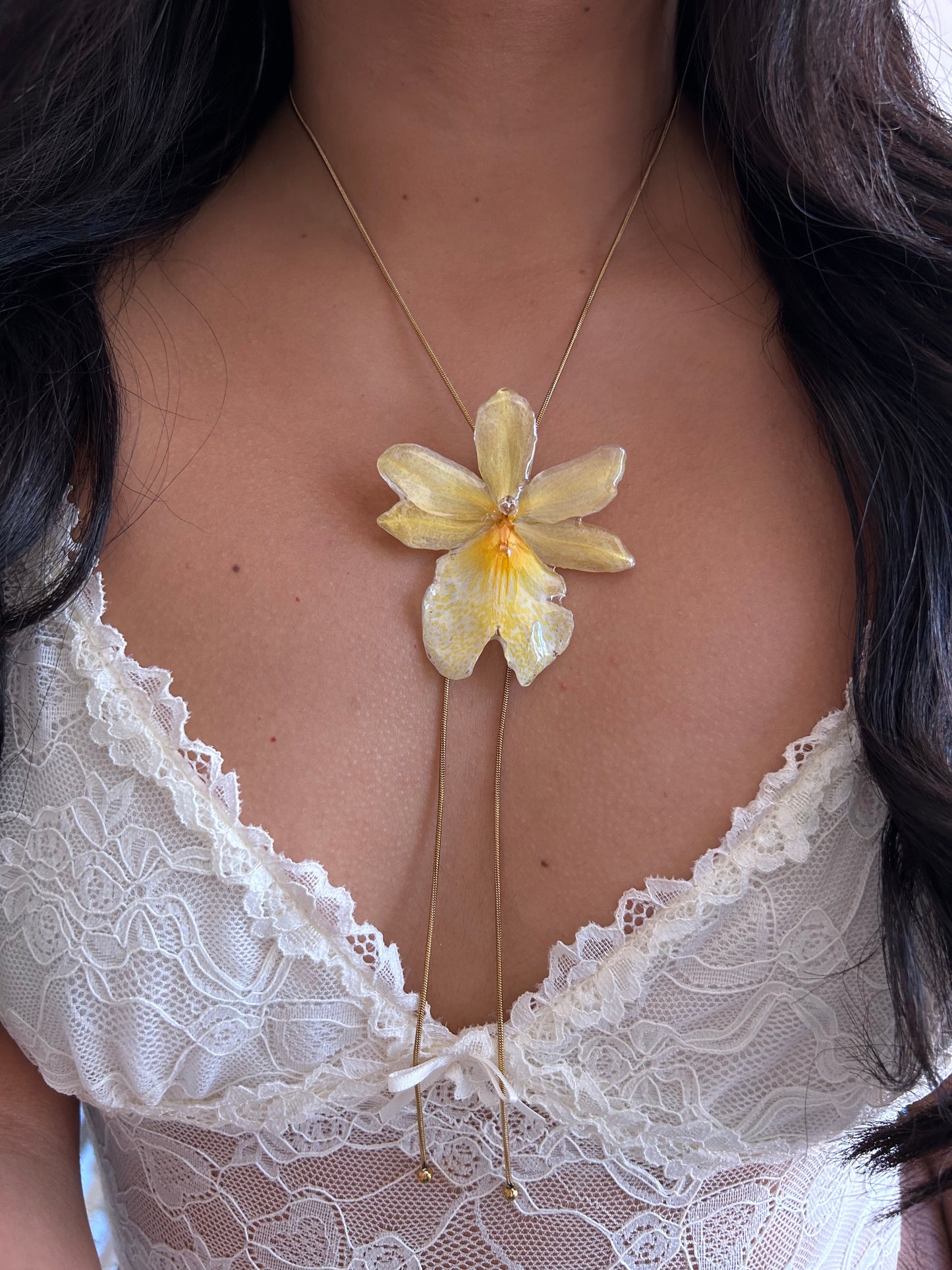 Orchid Nellys isler Yellow
