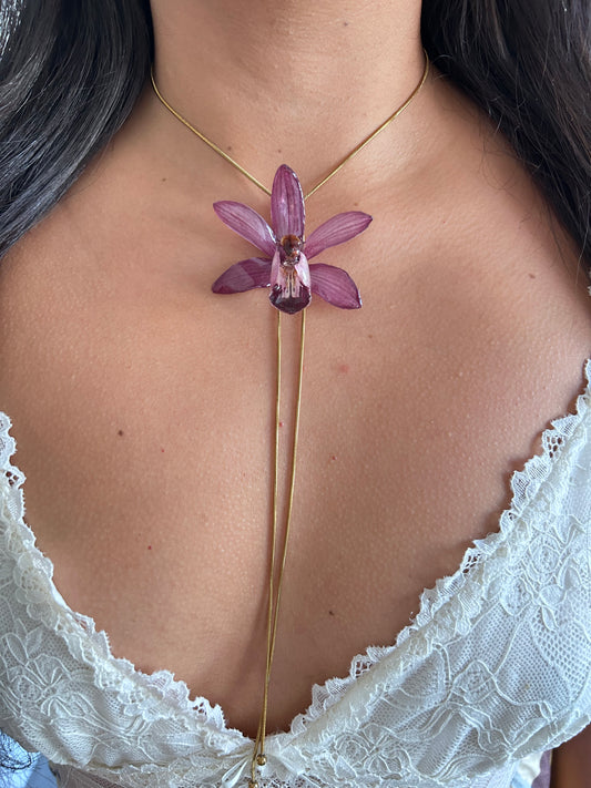Cymbidium malva