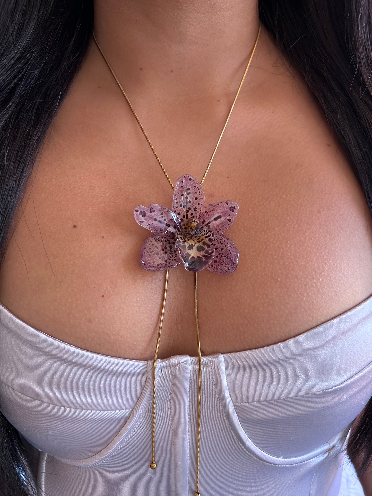 Cymbidium Codorniz