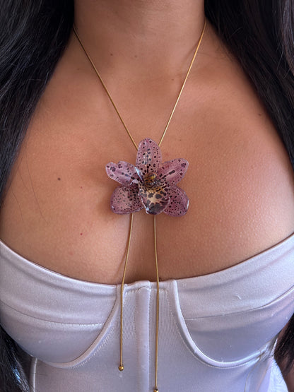 Cymbidium Codorniz