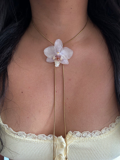 Orchid mini white