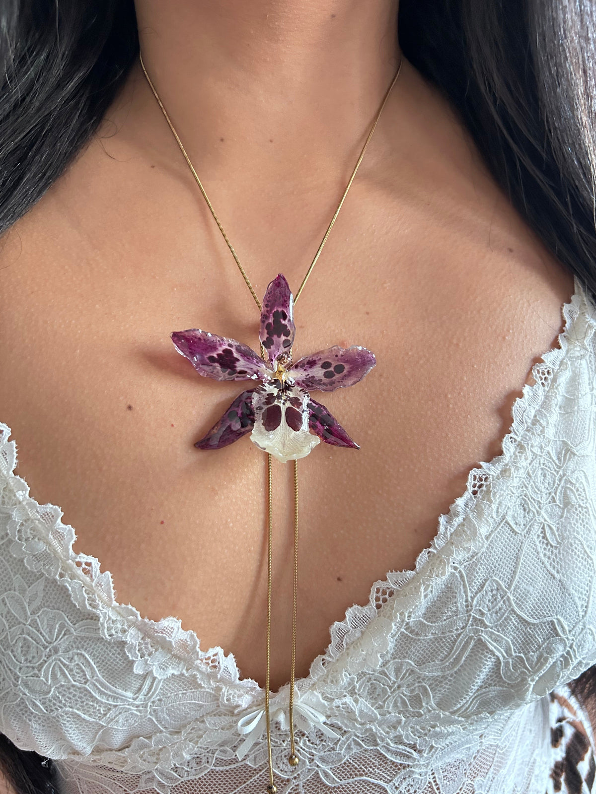Exotic orchid