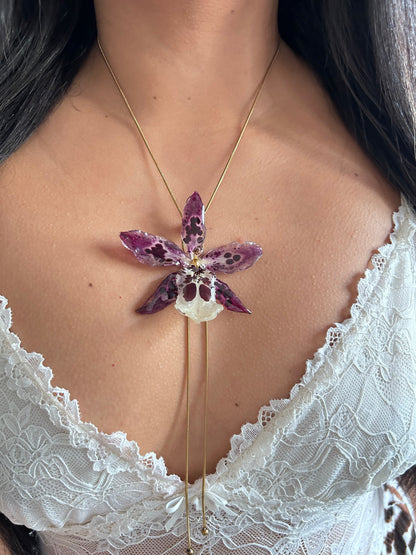 Exotic orchid