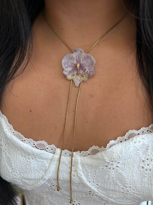 Orchid moteada