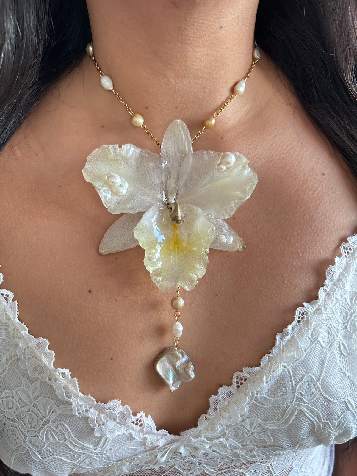 Grand Cattleya white