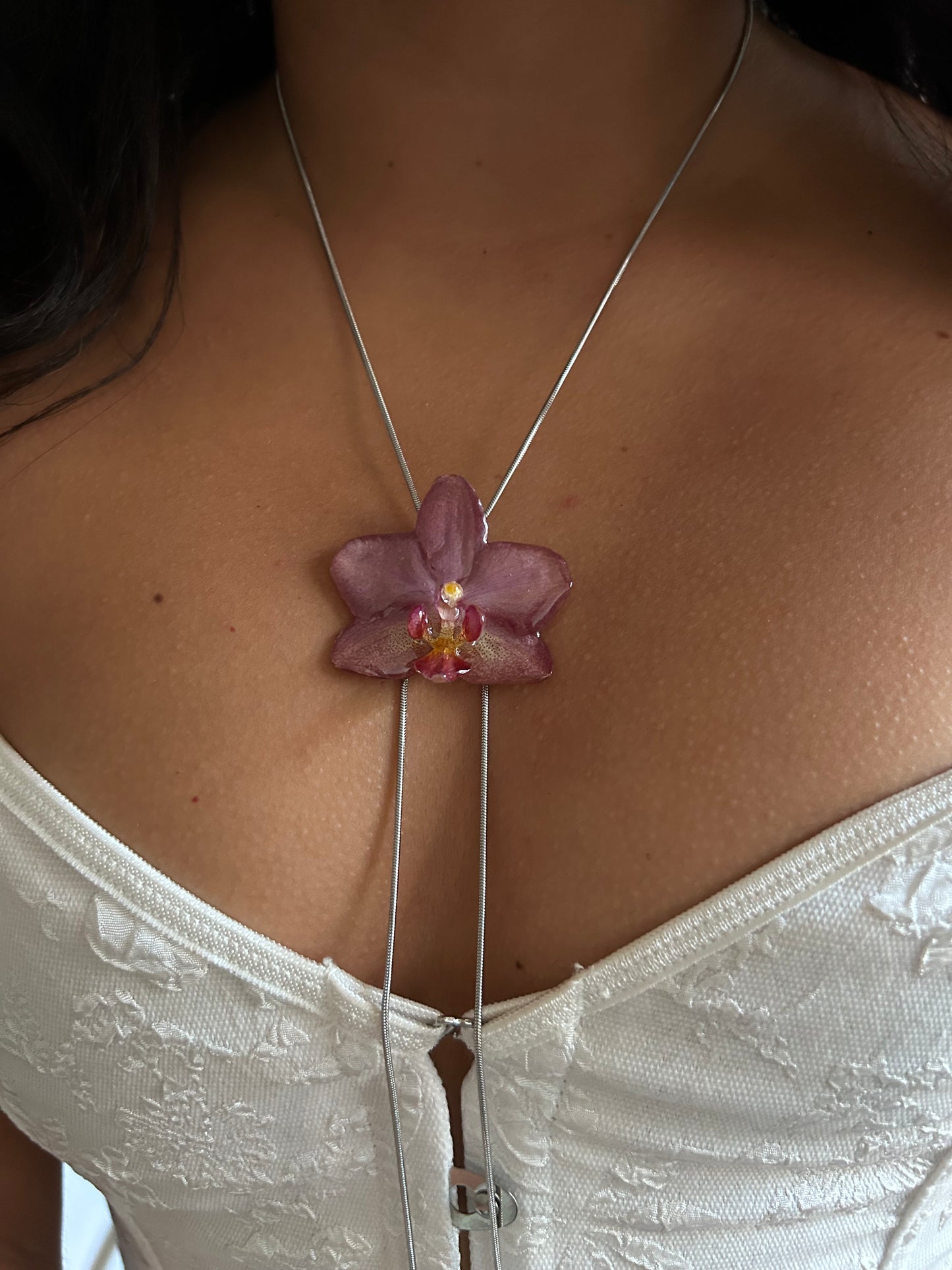 Mini pink Phalaenopsis orchid