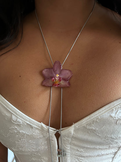 Mini pink Phalaenopsis orchid