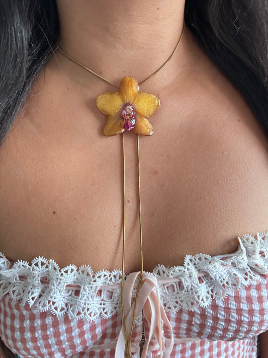Orchid mini yellow