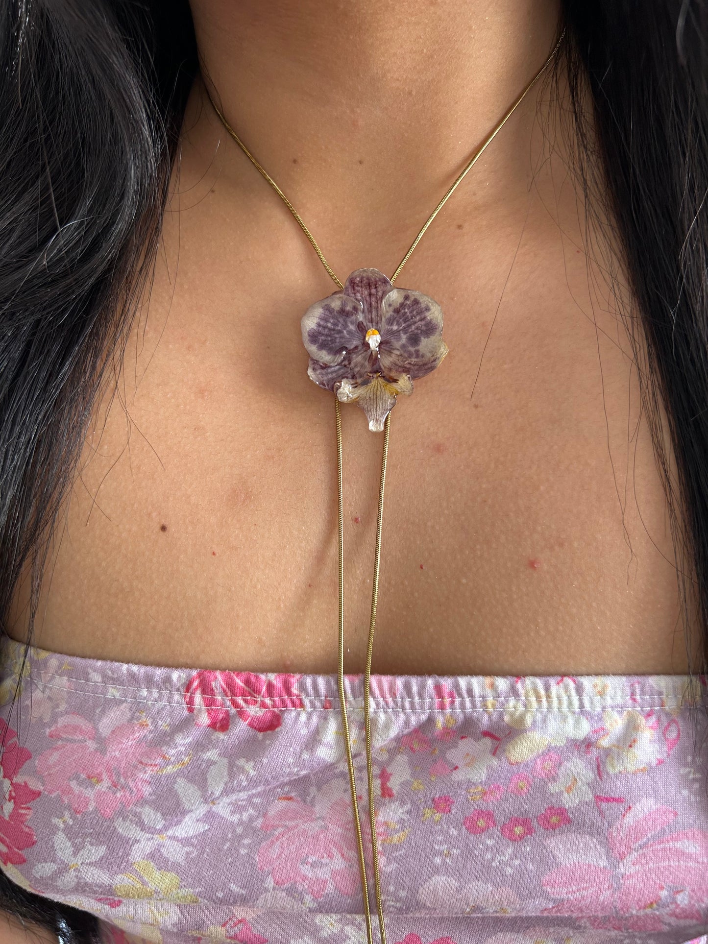 Purple orchid