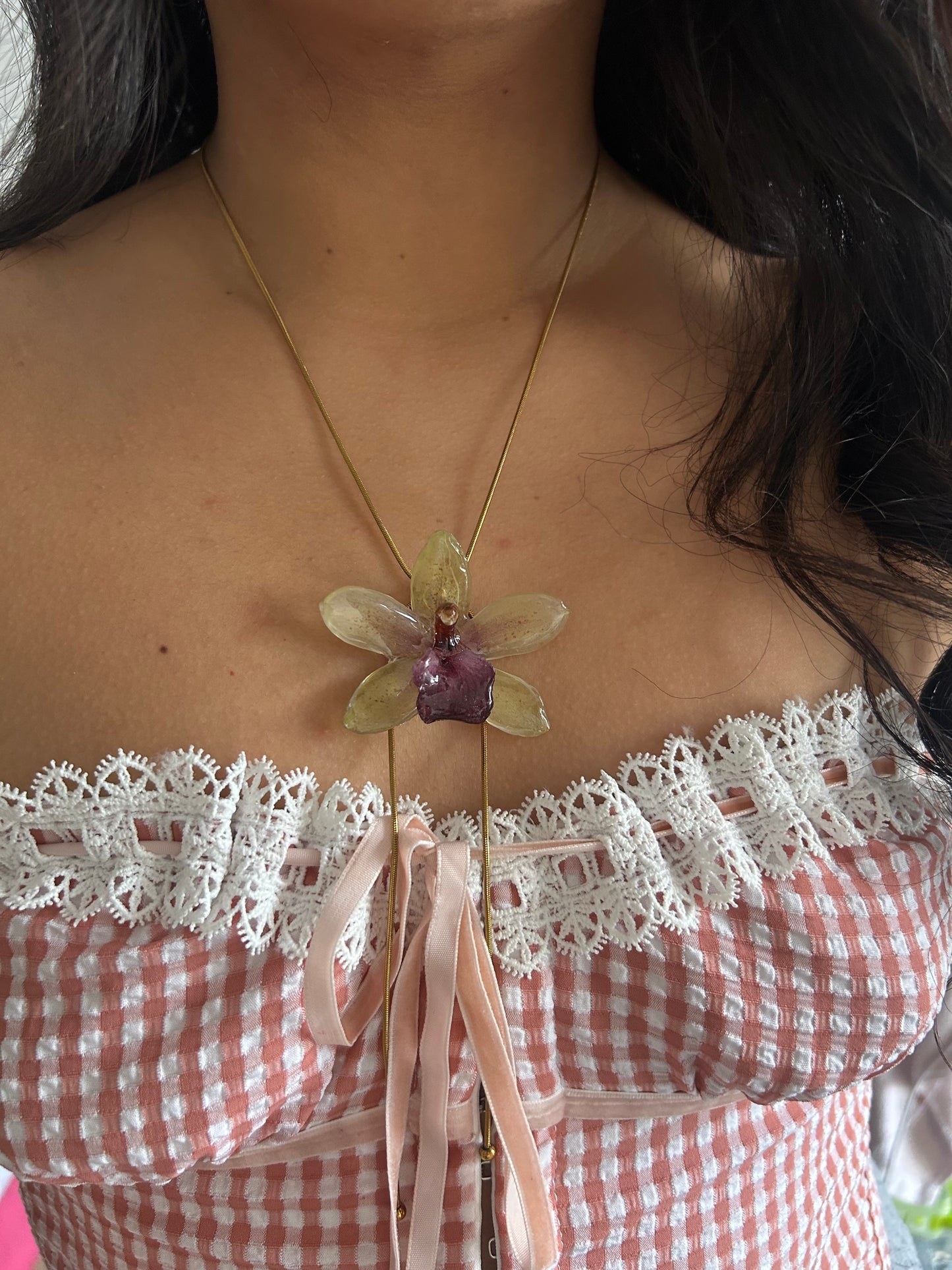 Orquídea cymbidium  Jaina