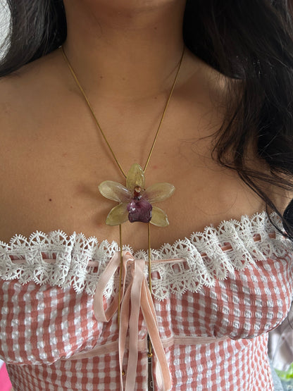 Orquídea cymbidium  Jaina