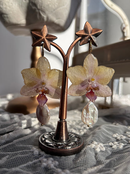 Pastel orchid earrings