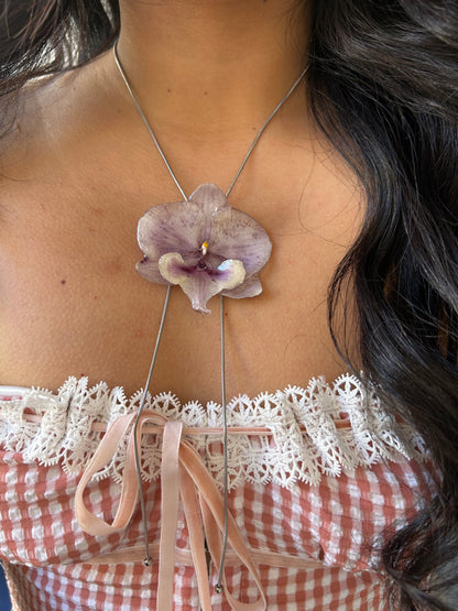 Grand Orchid