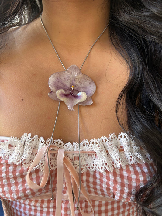 Grand Orchid