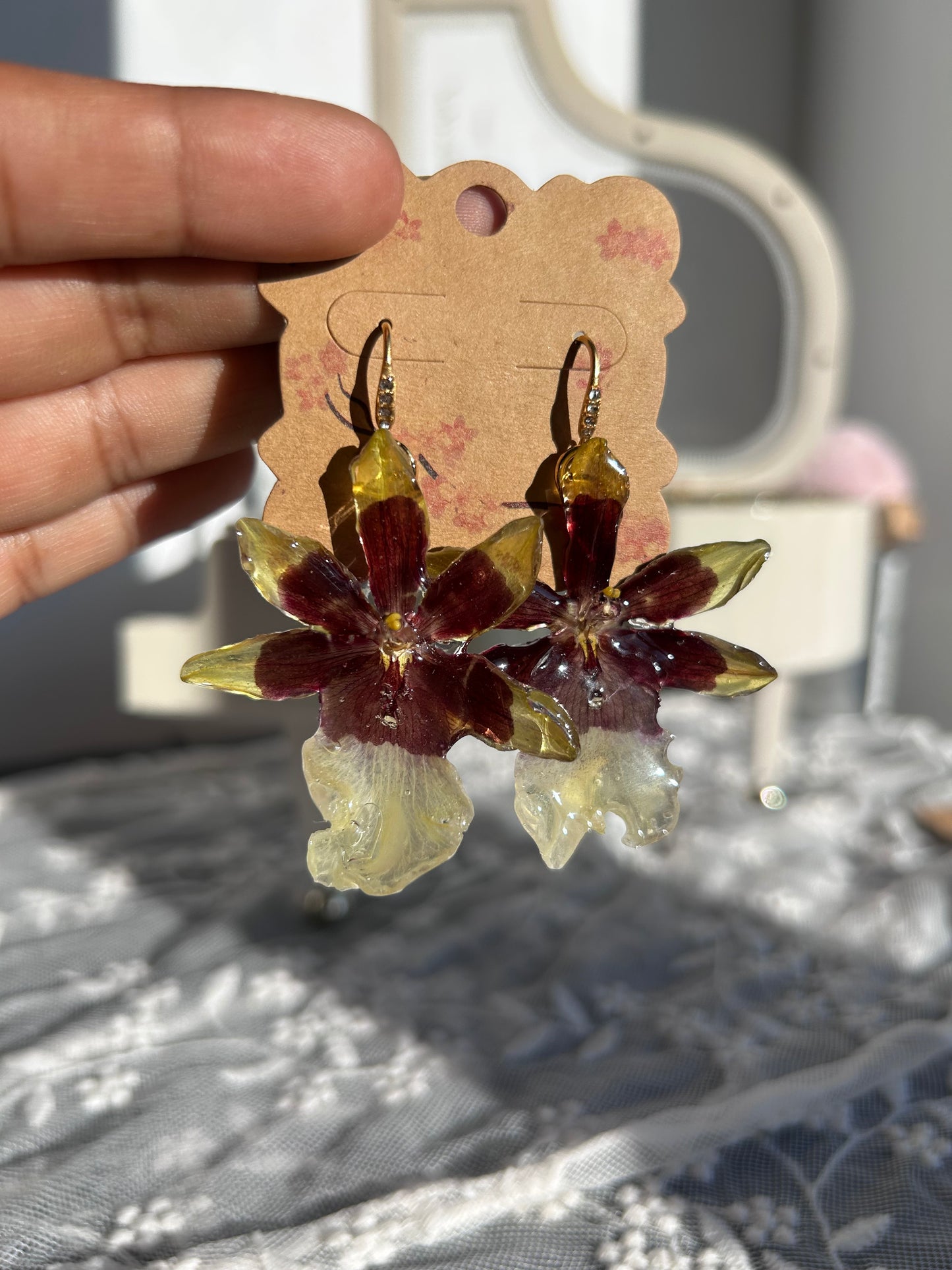 Exotic orchid cambria