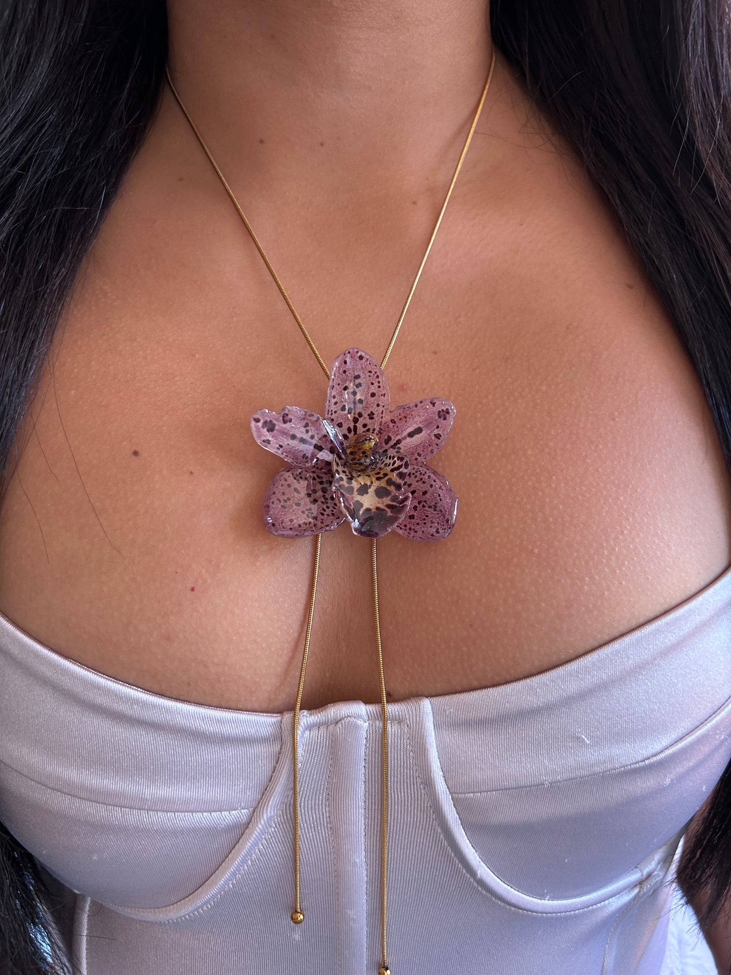 Cymbidium Codorniz