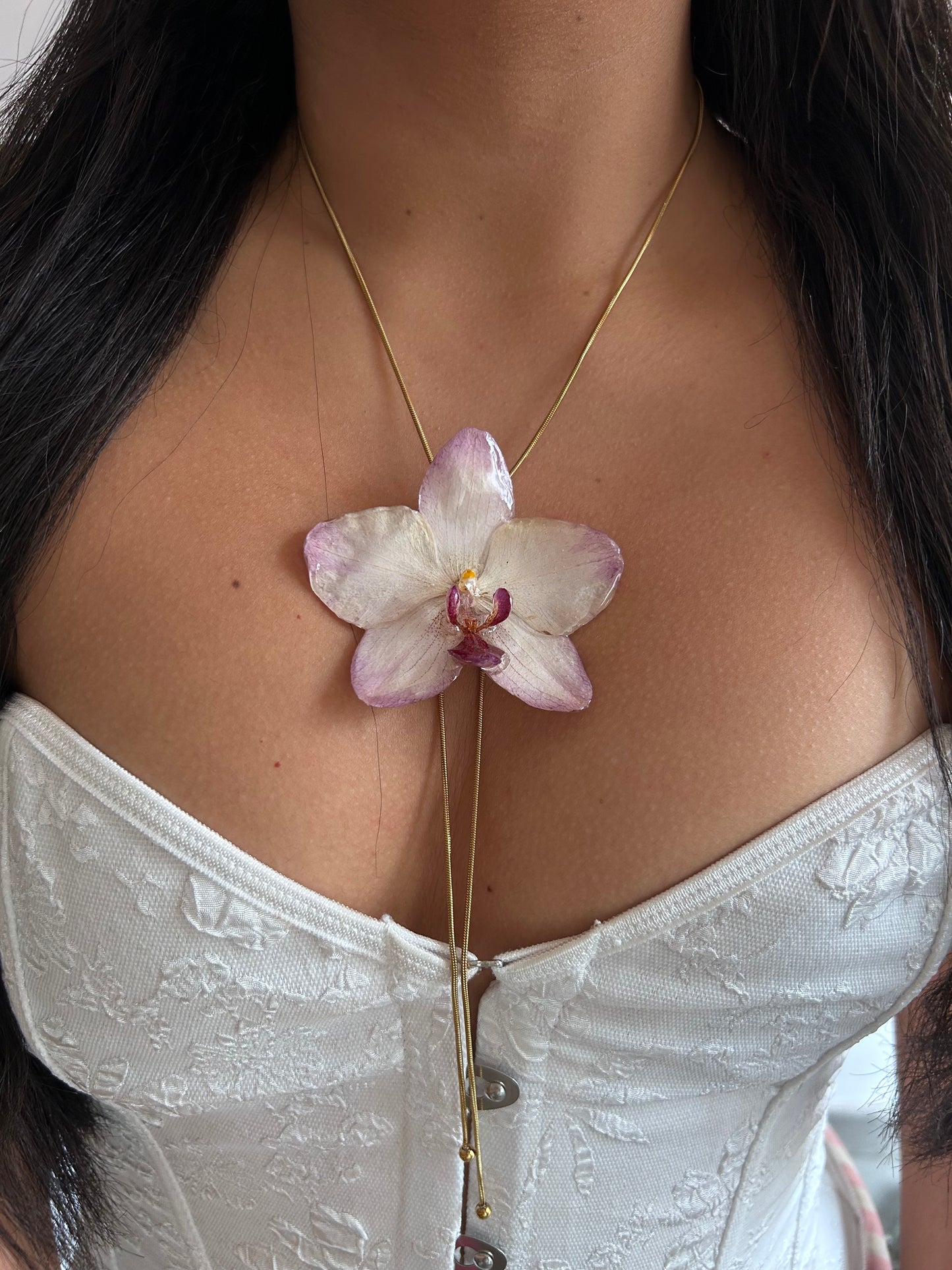Orchid papagayo