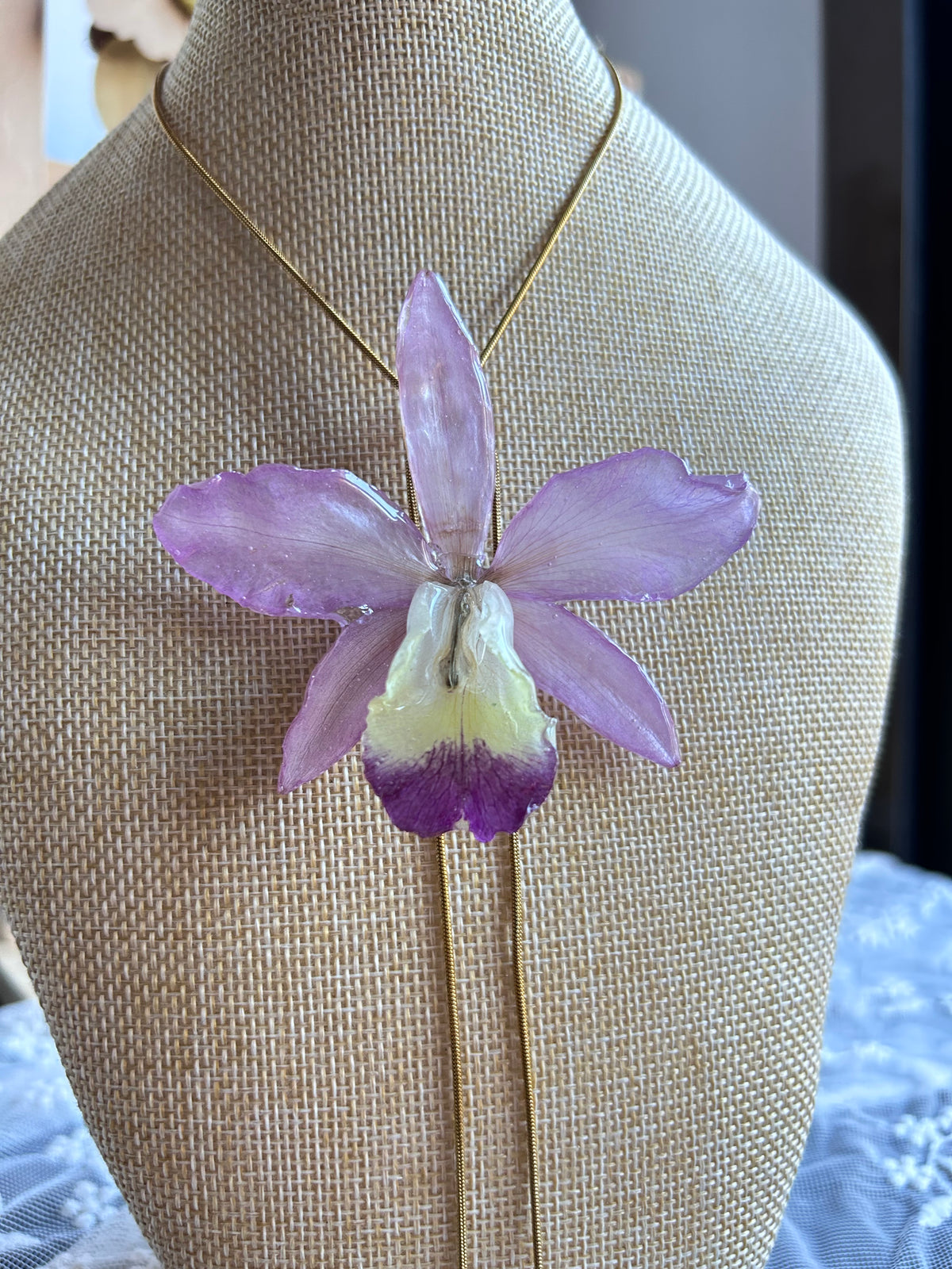 Gran Cattleya