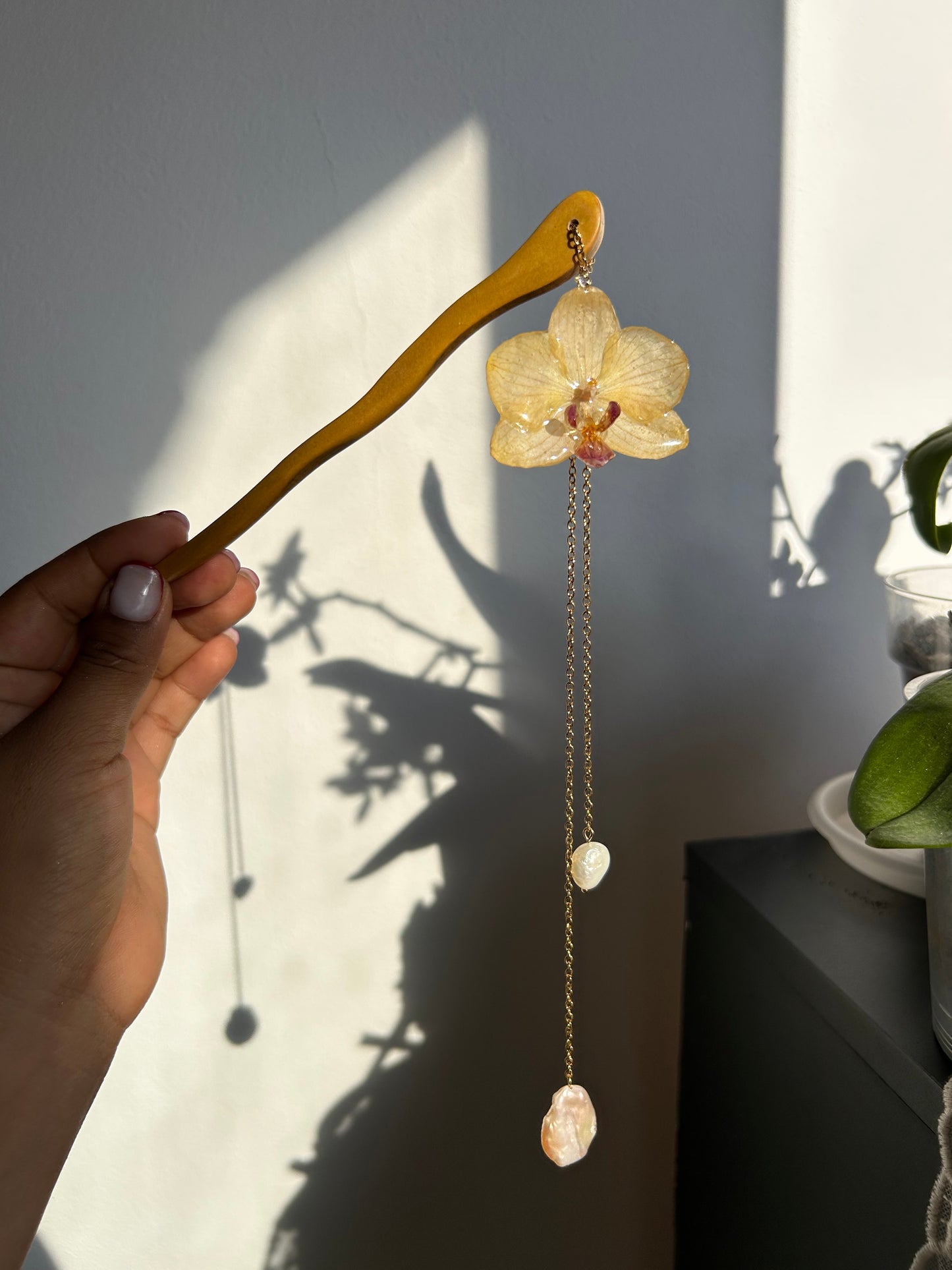 Palillo Oriental /Orchid Yellow