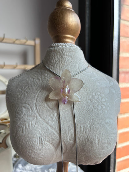 Orchid mini white