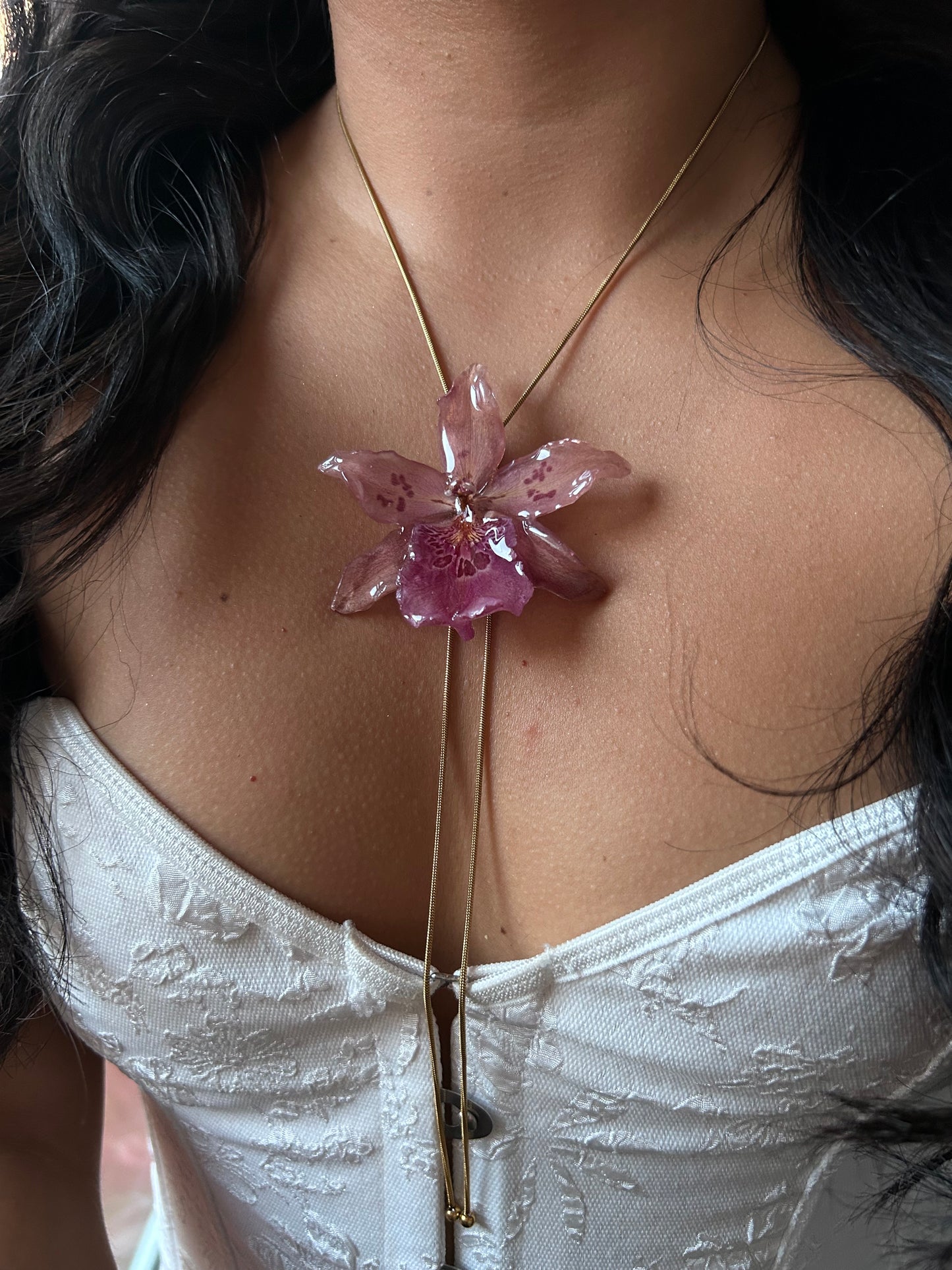 Orchid Beallara pink
