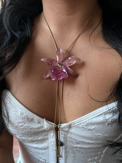 Orchid Beallara pink