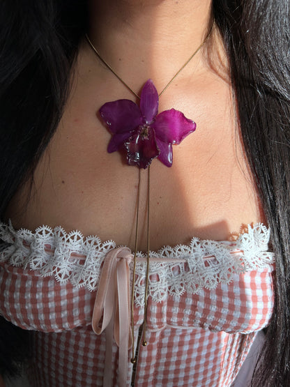 Orchid Cattleya purple