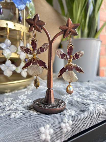 Pendientes exotic orchid Brown