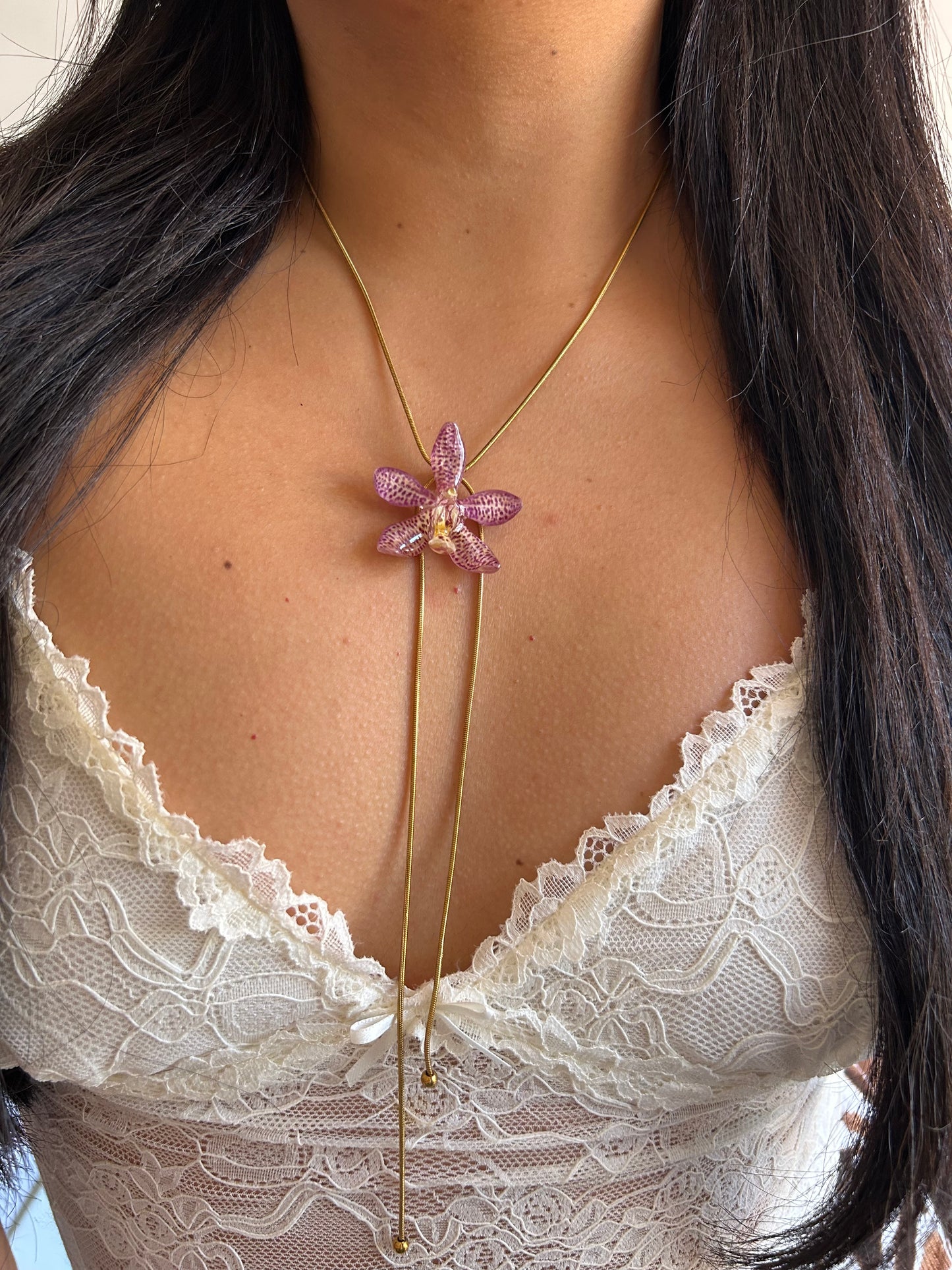 Pink hybrid orchid