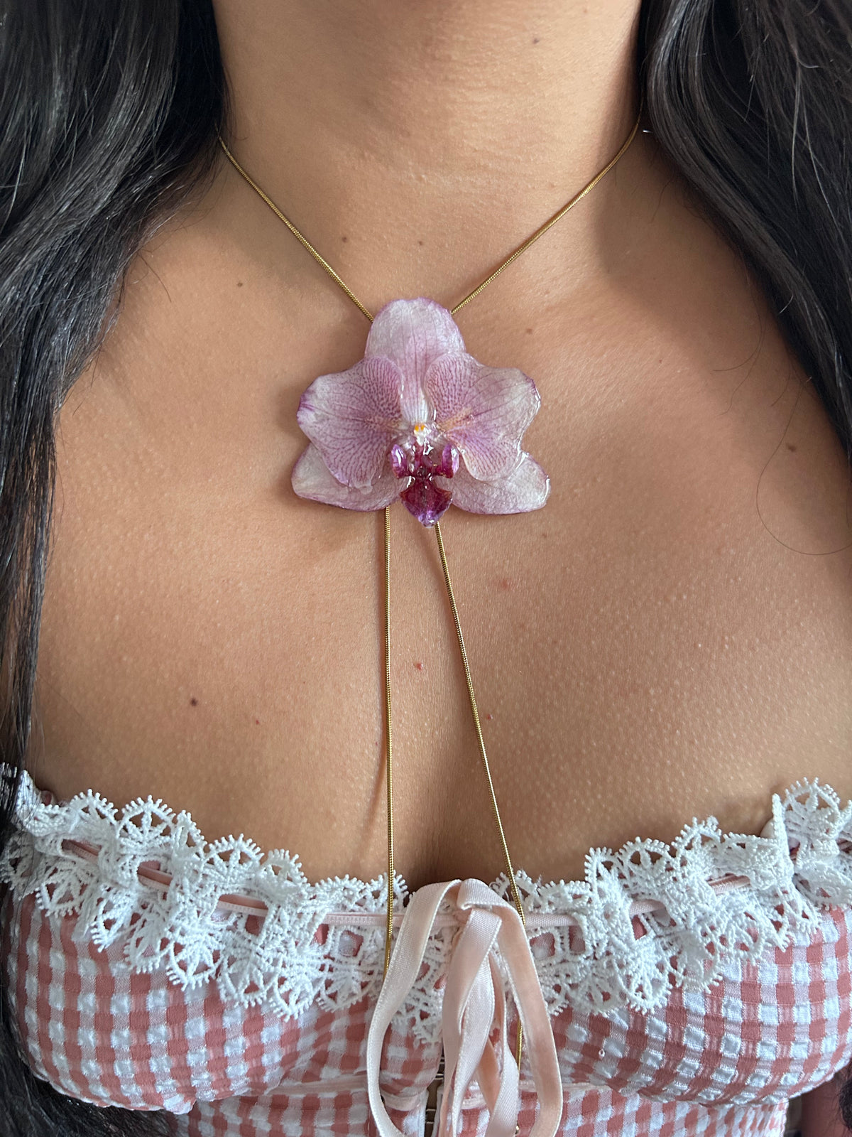 Phalaenopsis pink