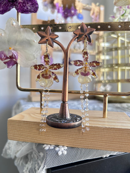 Mini oncidium