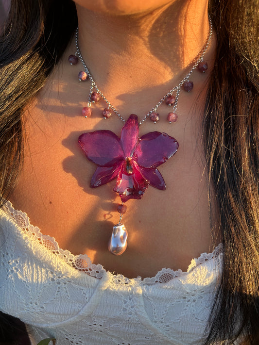 Cattleya dark