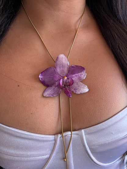 Grand Phalaenopsis purple