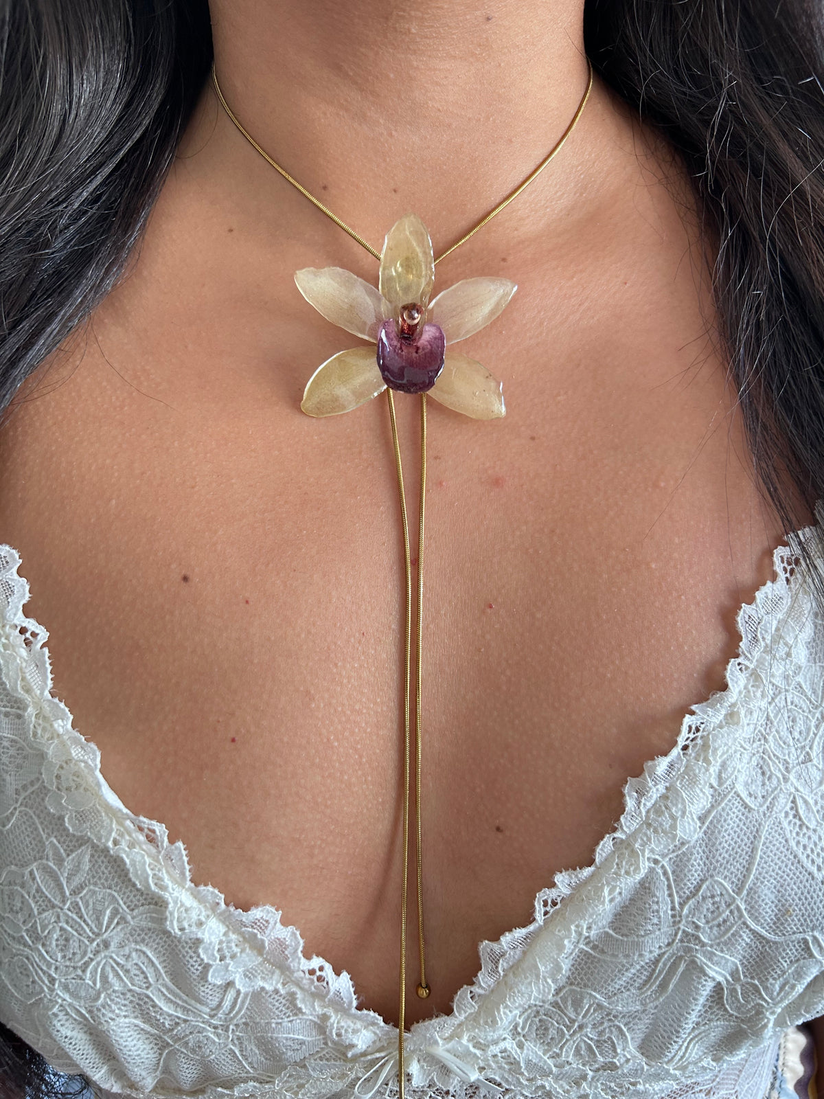 Cymbidium Jaina