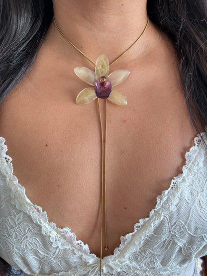 Cymbidium Jaina