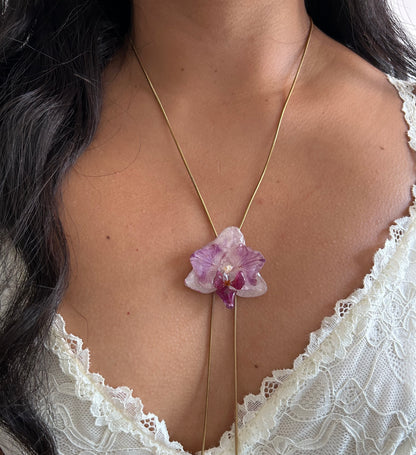 Phalaenopsis mini