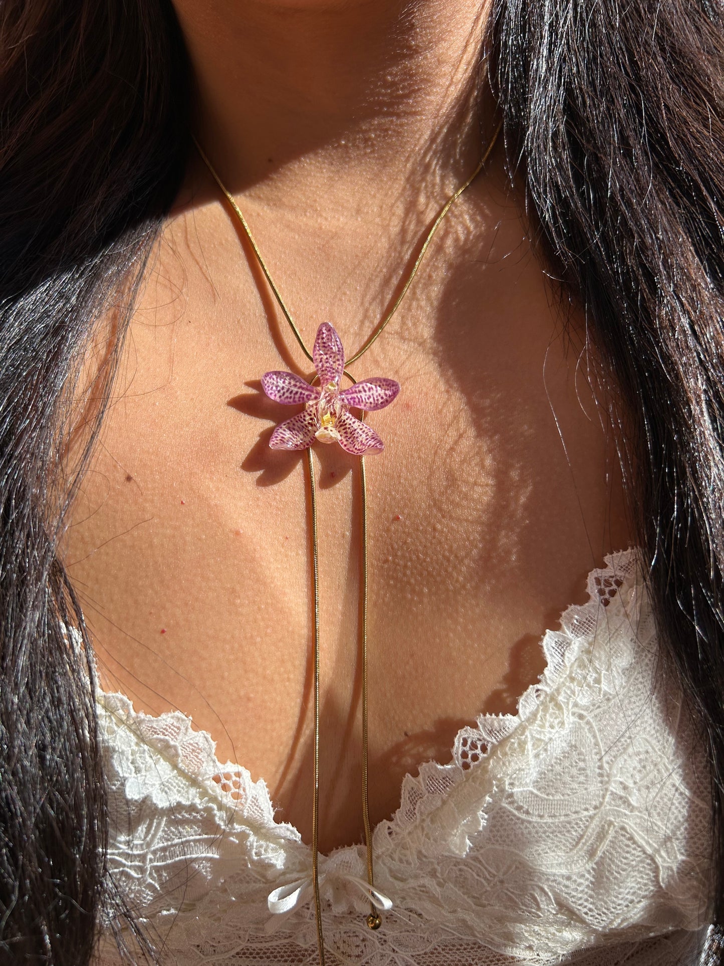 Pink hybrid orchid