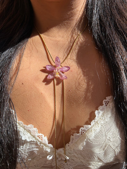 Pink hybrid orchid