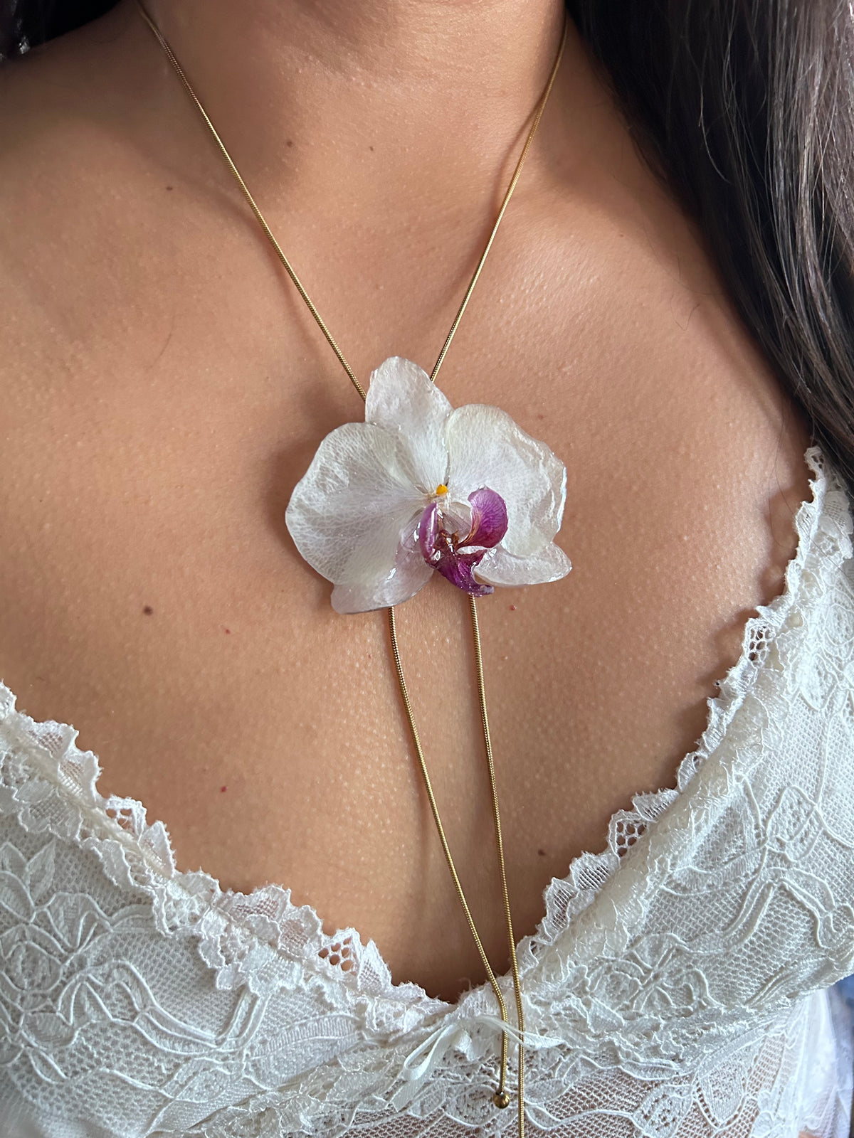 Phalaenopsis white