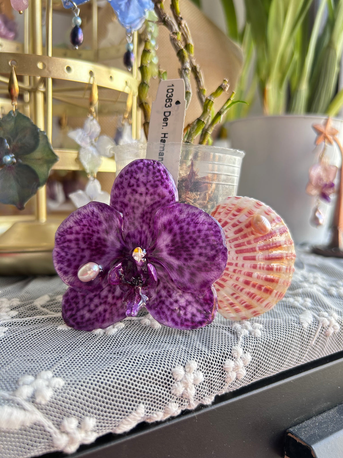 Gran clip Phalaenopsis moteada