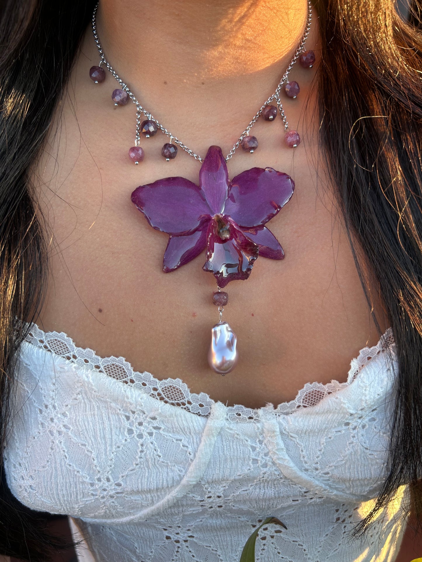 Cattleya dark