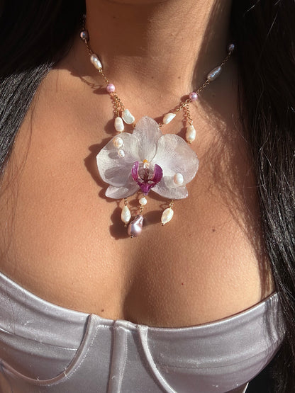 Phalaenopsis 'Rain of Pearls'