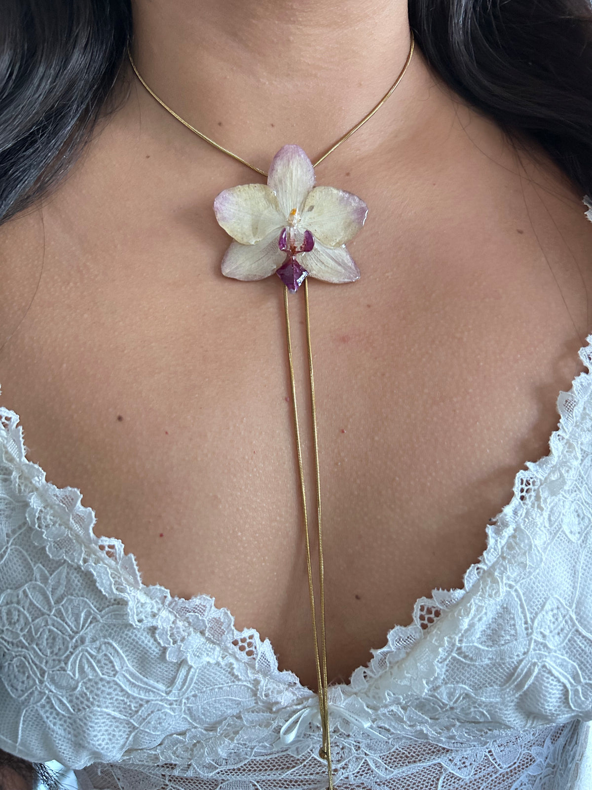 Phalaenopsis Papagayo